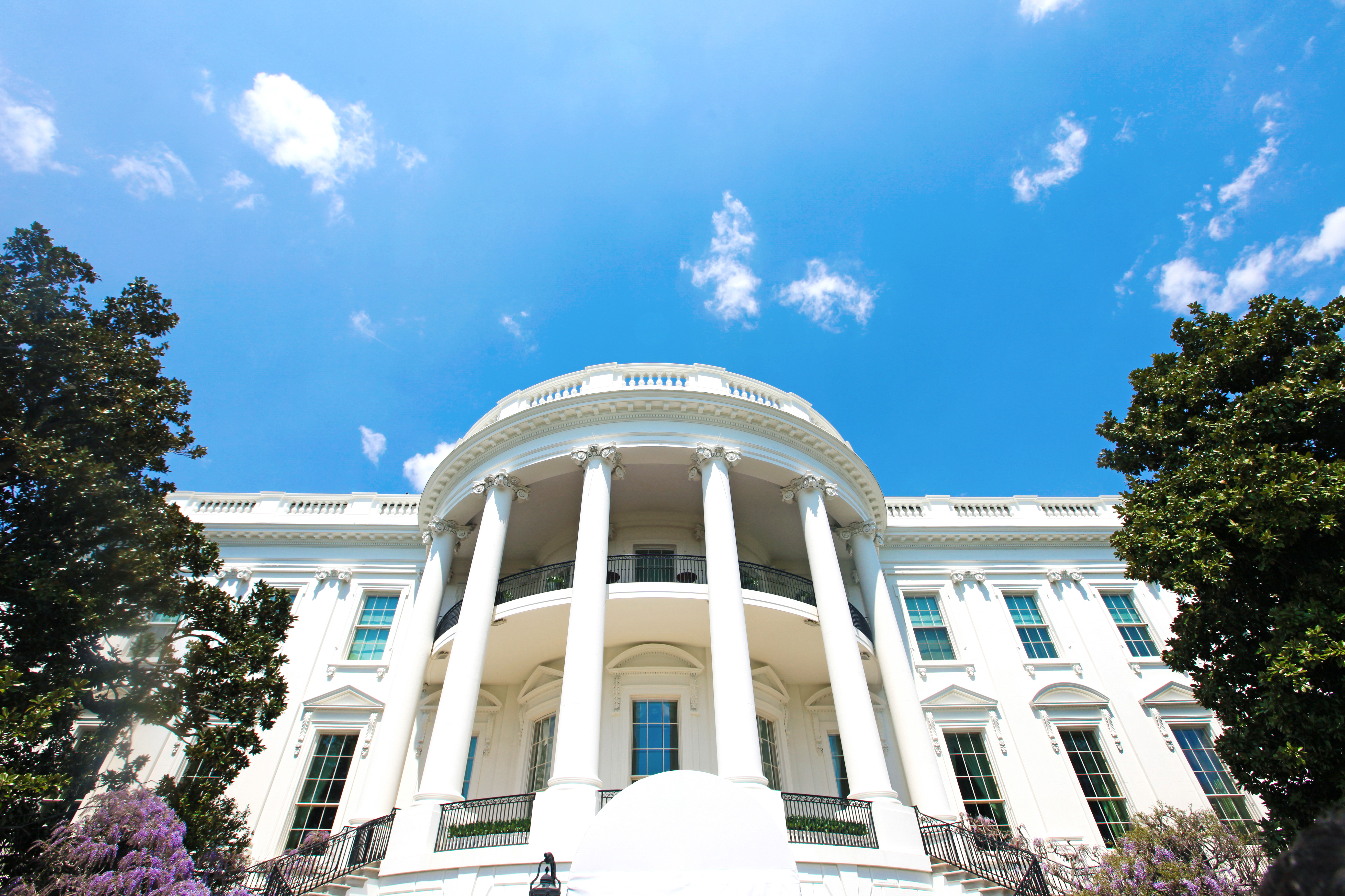 White House DOJ and White House reach consensus on criminal division chief pick