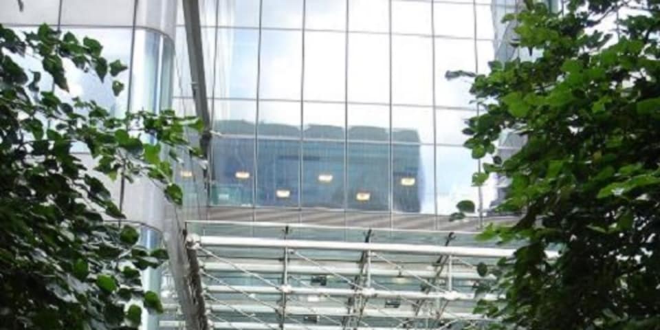 Bnp paribas forex rigging