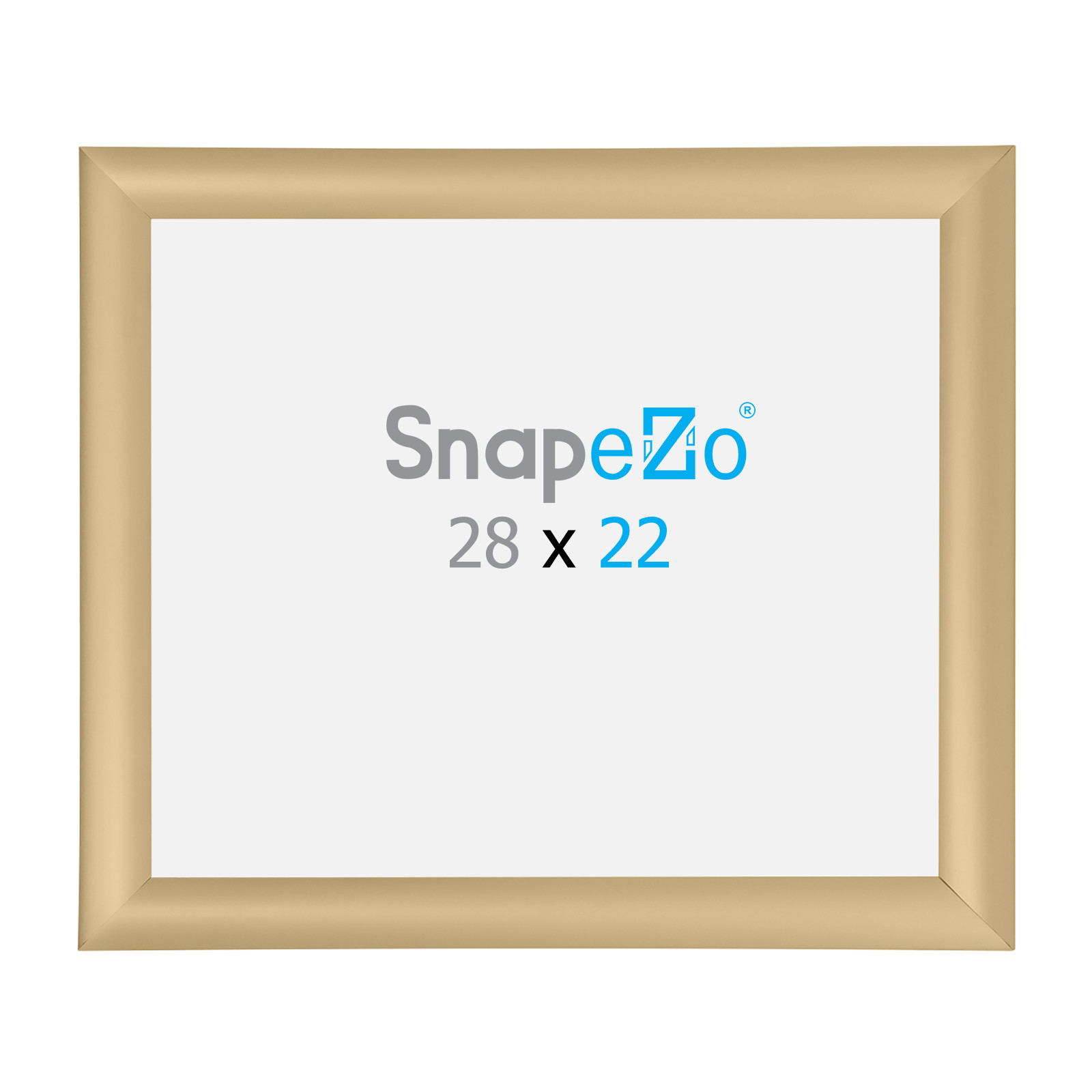 Gold SnapeZo snap frame poster size 22x28 1 inch profile