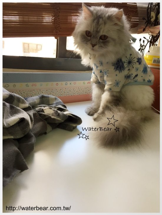 冬暖小品-6