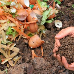 Image of fruit and veg peelings about to go in a compost heap