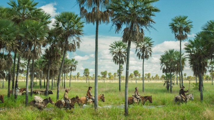 Image for Zama
