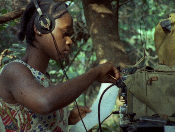 Image for Concerning Violence