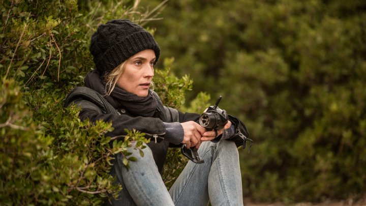Image for In the Fade