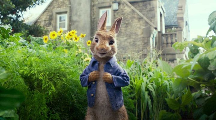 Image for Peter Rabbit