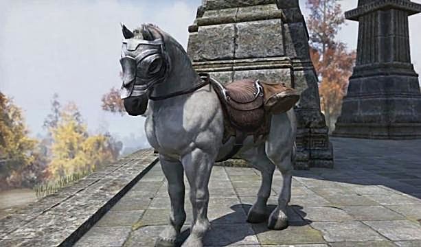 elder scrolls online horse