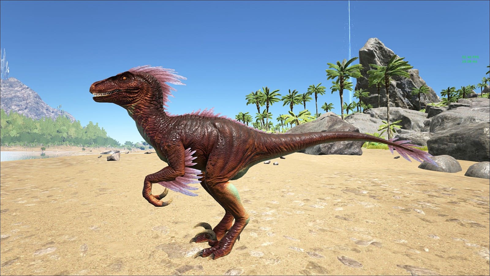 Alpha raptor ark