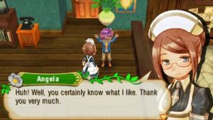 story of seasons a wonderful life marriage guide