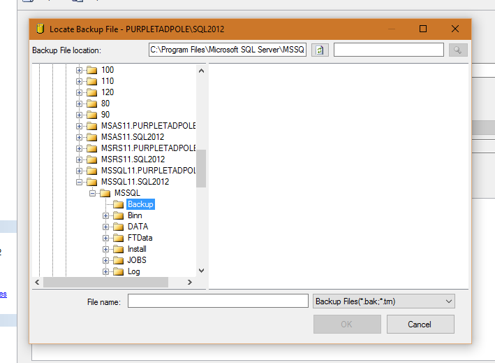 The file browser restored