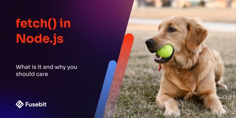 fetch() In Node.js Core: Why You Should Care