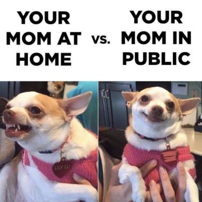 mom at home vs in public