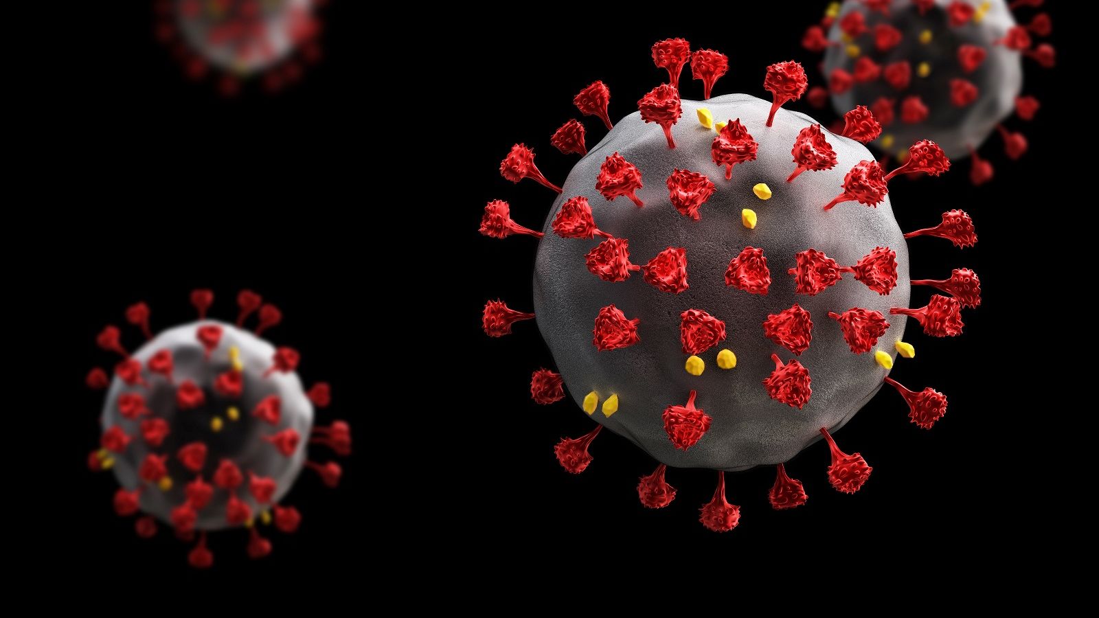 Important information on COVID-19 (Coronavirus)