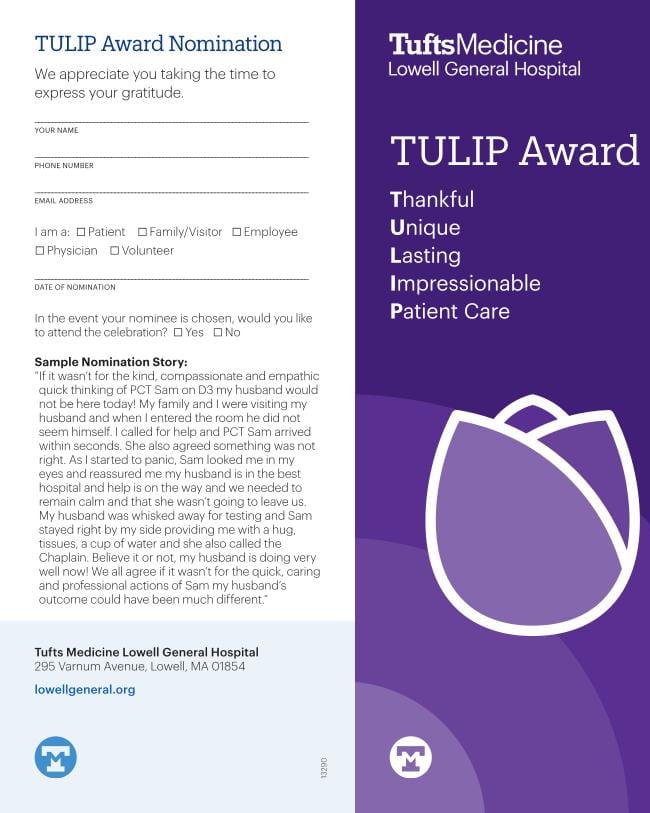 TULIP Award brochure