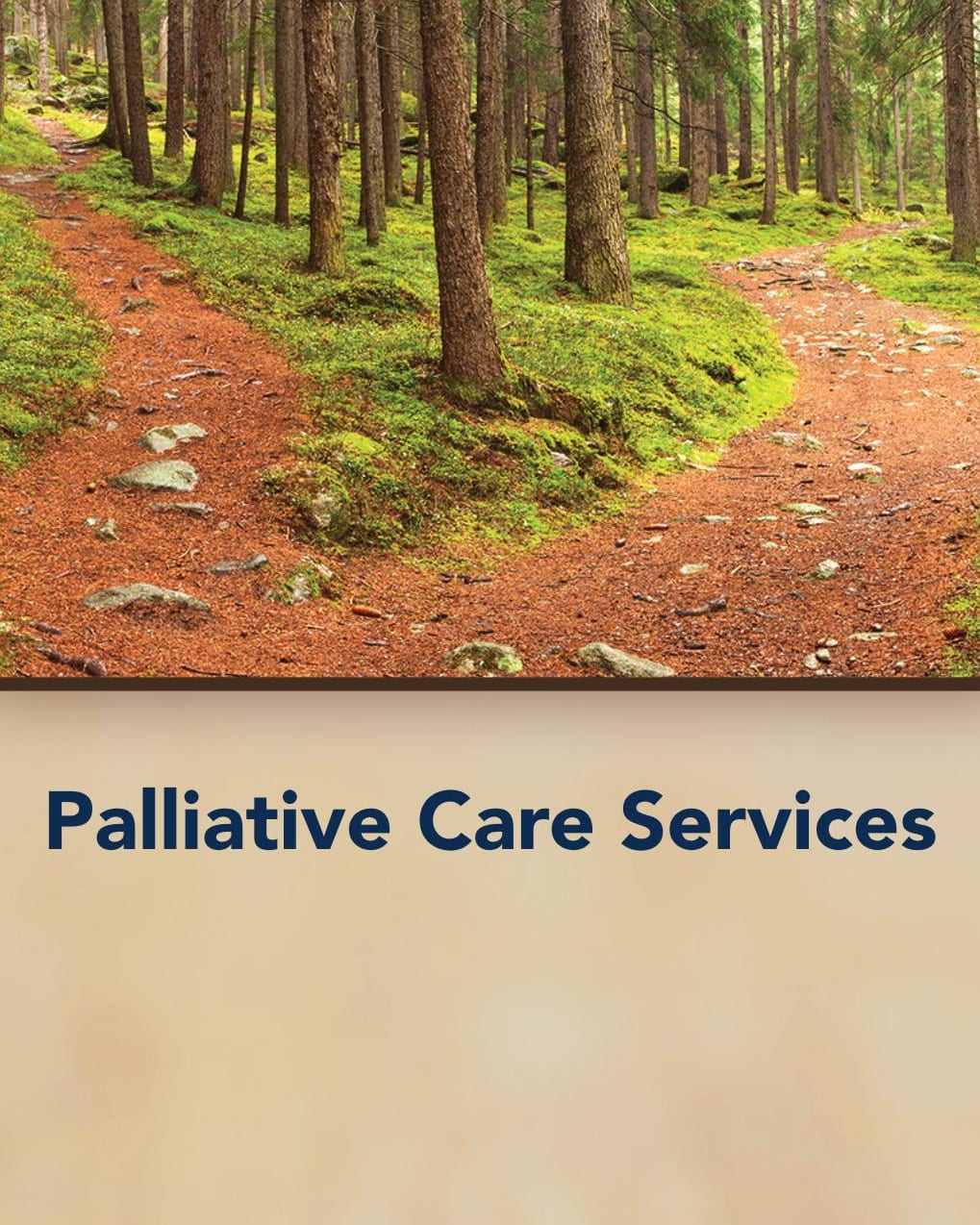 Palliative Care brochure