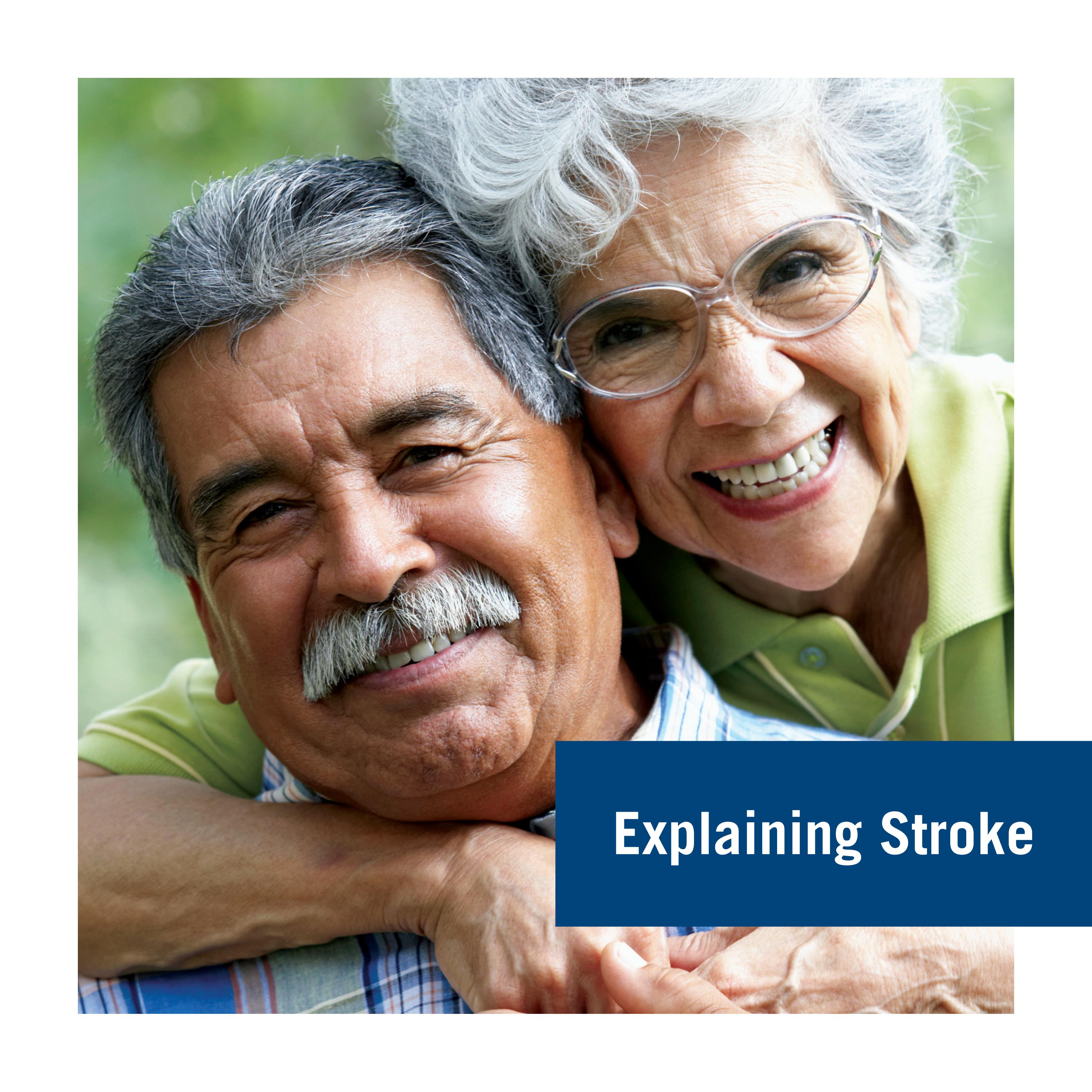 Explaining Stroke