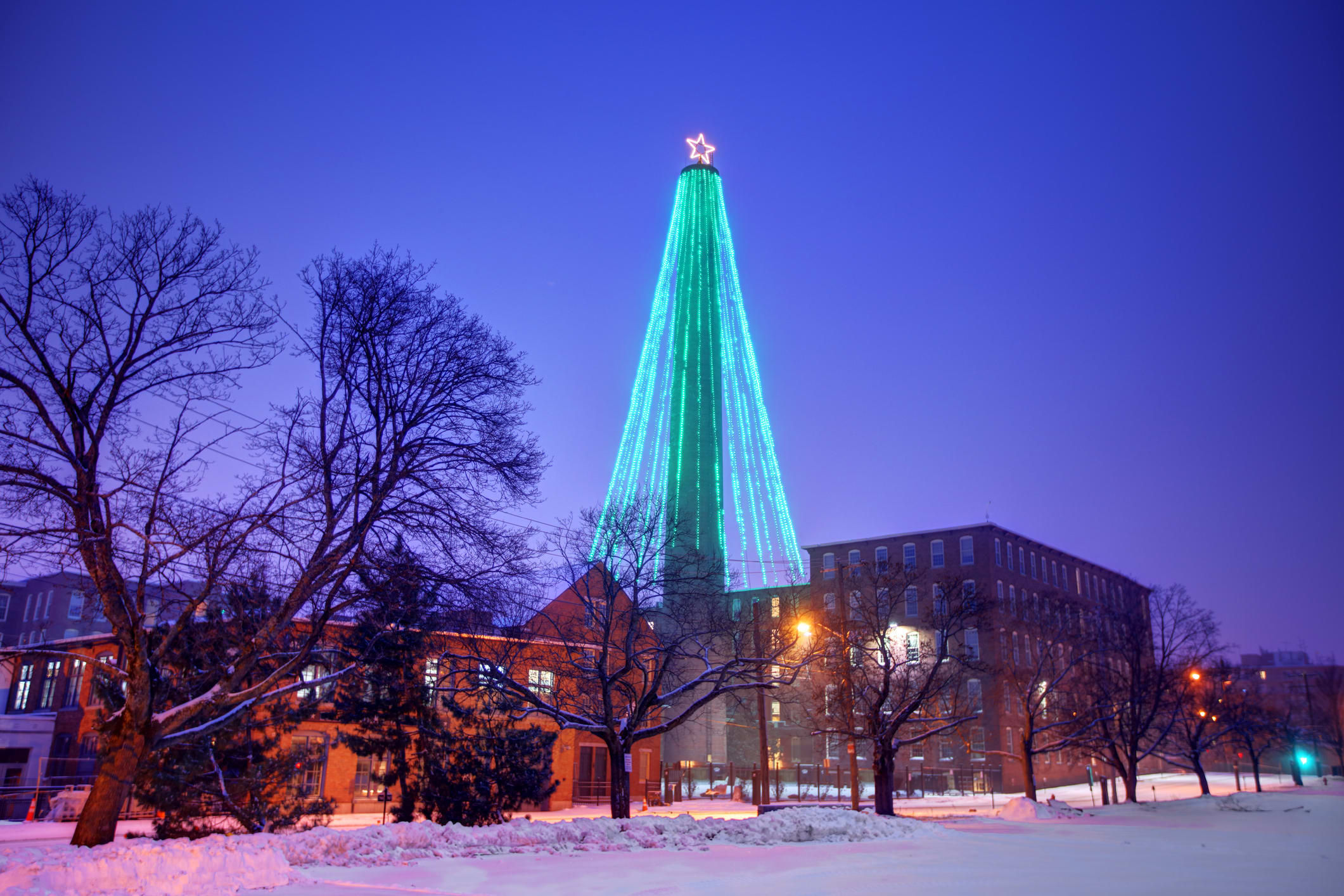 2022 Holiday Christmas Tree