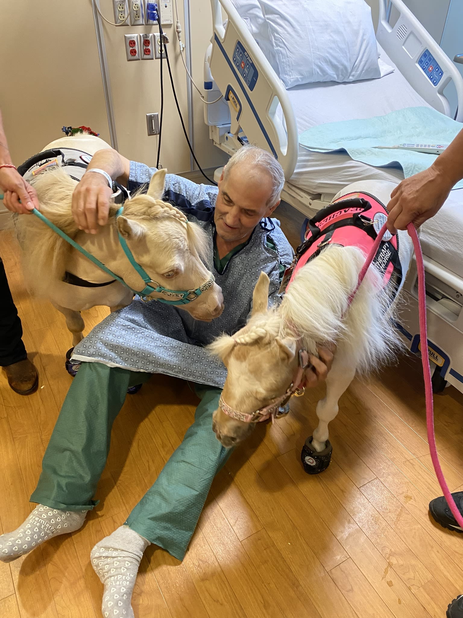 Therapy dogs visiting a patient