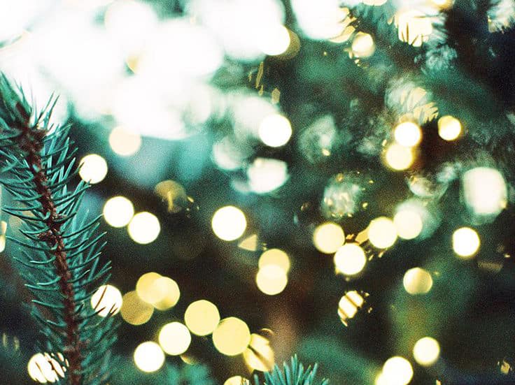 Festival of Holidays (Saints Campus)