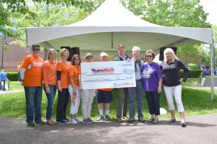 2017 TeamWalk check presentation