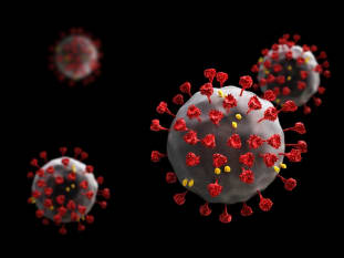Coronavirus
