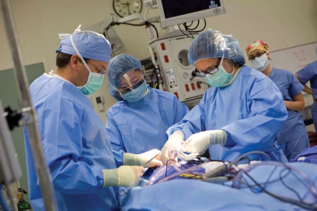 Tufts specialists in OR