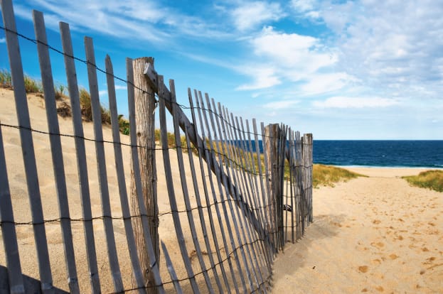 Pathway from beach to ocean