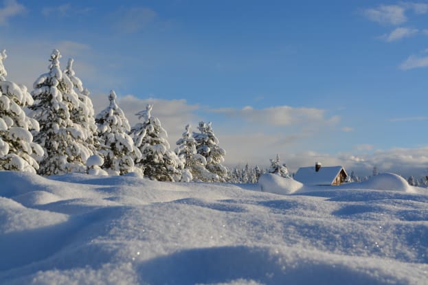 Snowy scene