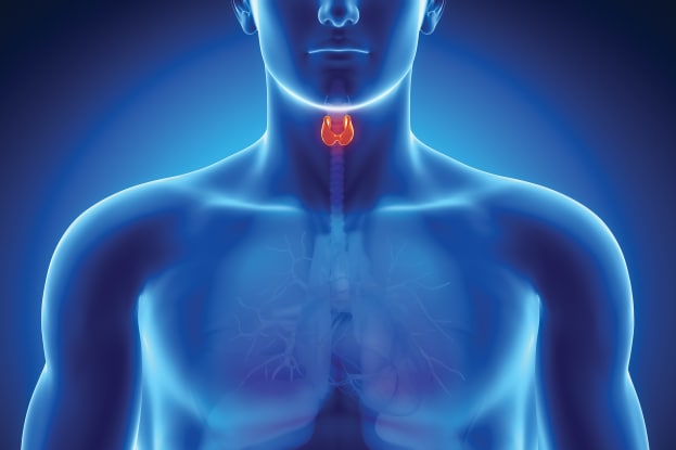 thyroid biopsy