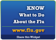 Flu Information