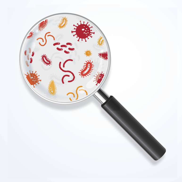 Virus or Bacteria