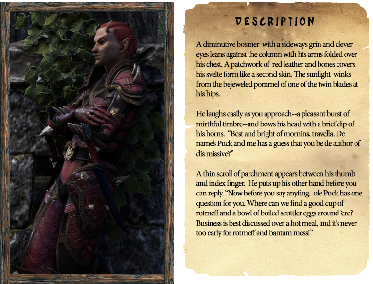 puck_page2_zs9zoh.png