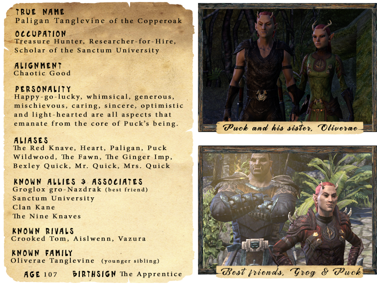 puck_page1_uc7wqc.png