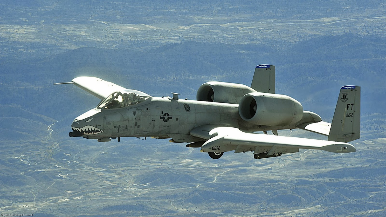 warthog2_wydi5a.jpg