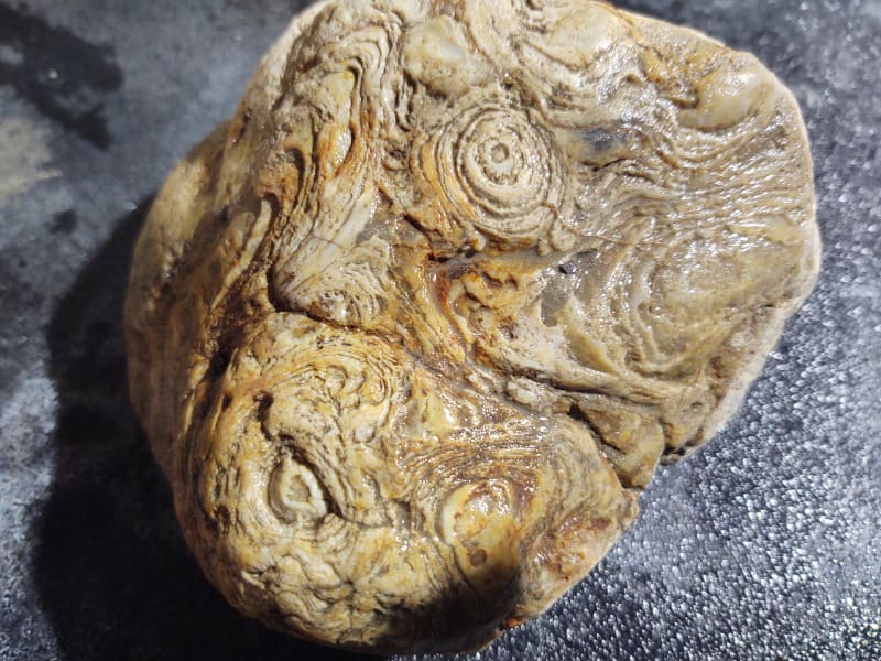 Weird looking rock Rock Tumbling Hobby