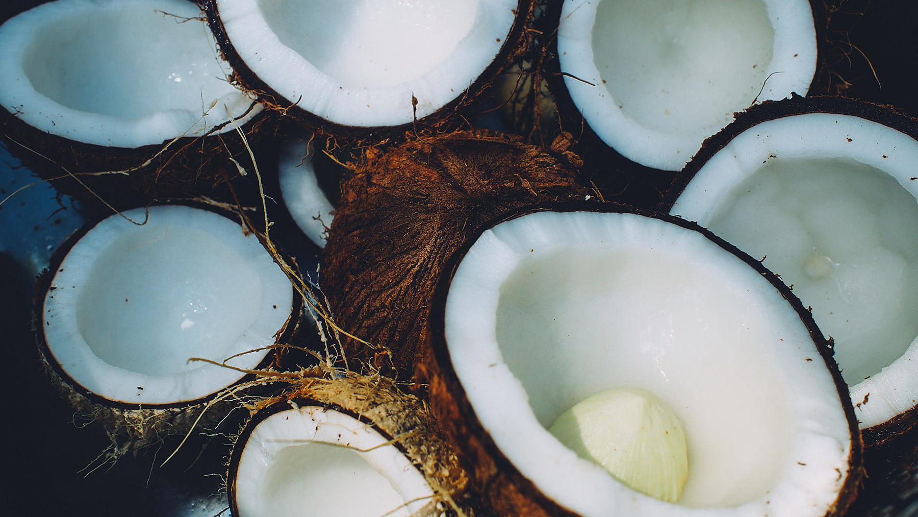 Coconut Wax | Lush Fresh Handmade Cosmetics UK