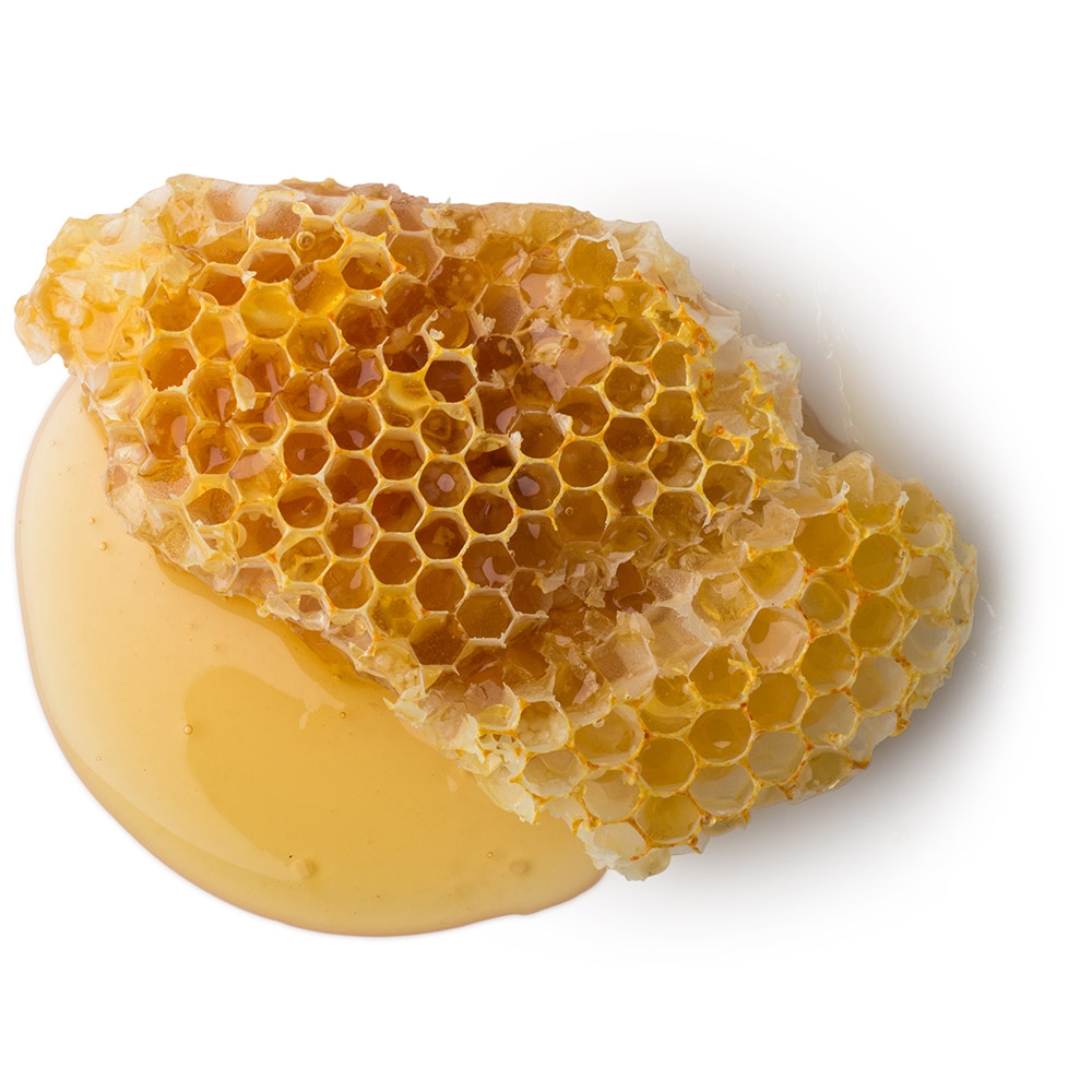 where to buy honeycomb