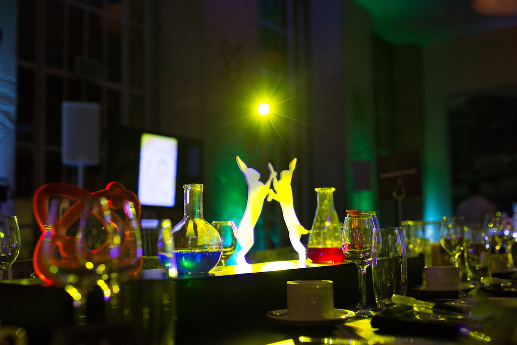 The history of the Lush Prize Lush Fresh Handmade