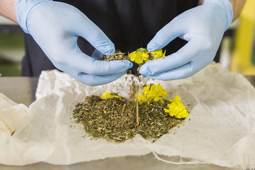 Cleavers, Witch Hazel and Chrysanthemum Infusion Lush Fresh Handmade