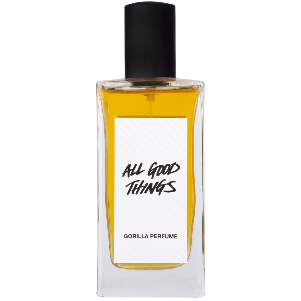 etienne aigner black for man