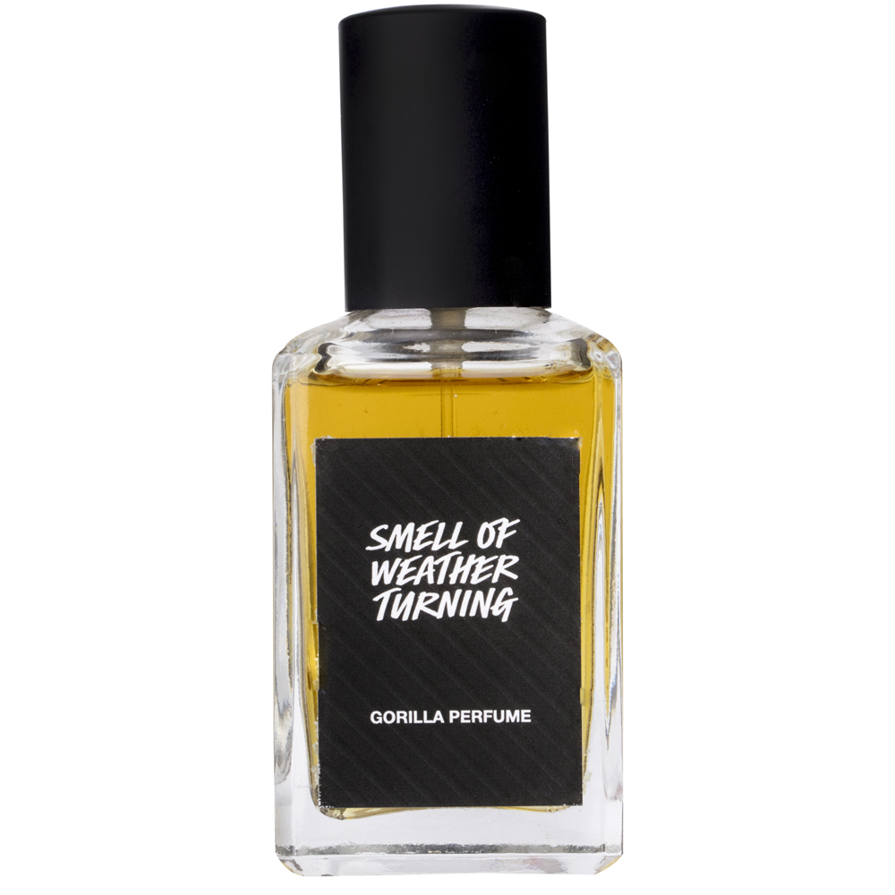 The Smell Of Weather Turning Parf ms LUSH Deutschland