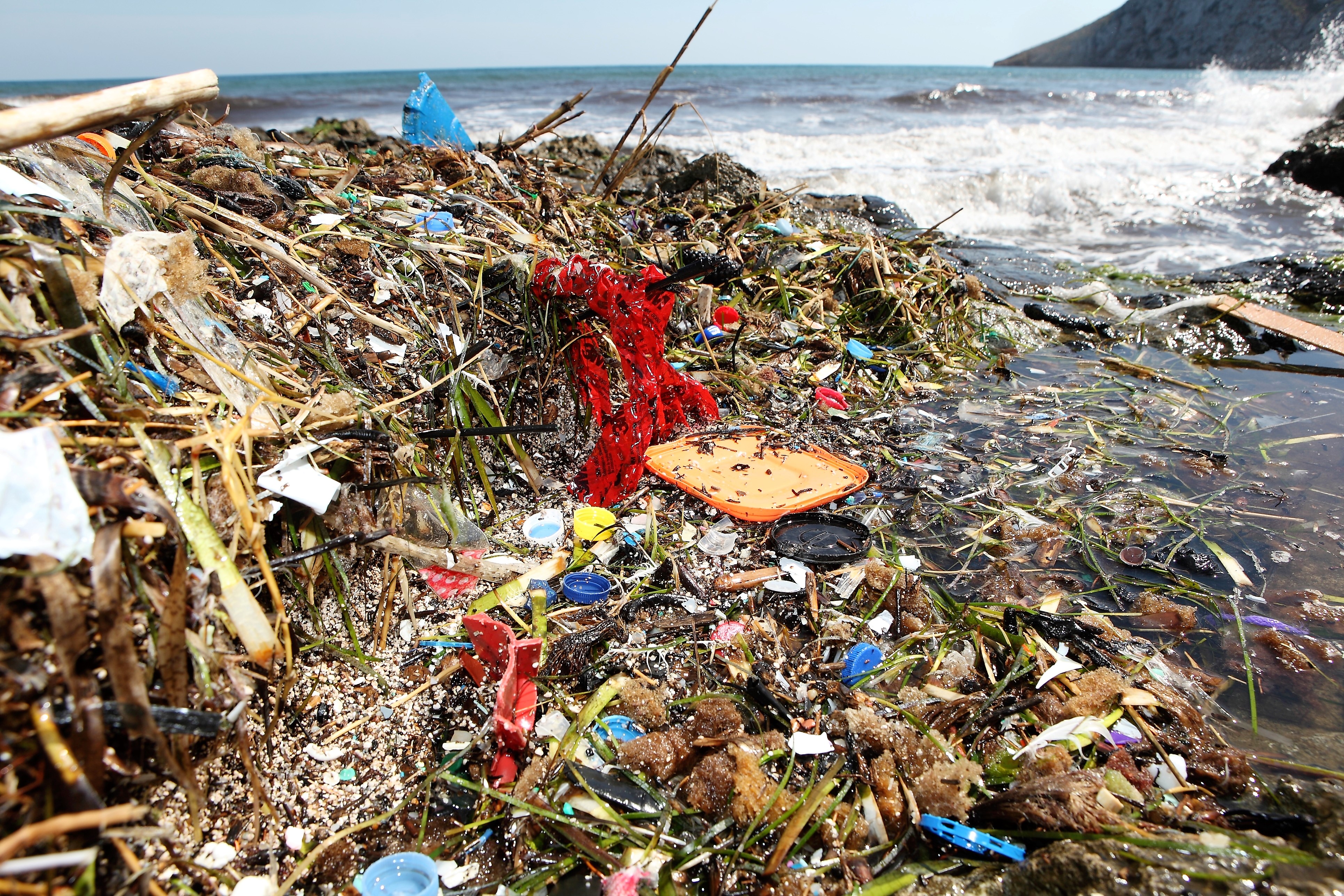 Basuras marinas: hacia una manera nueva de producir y consumir - Lush