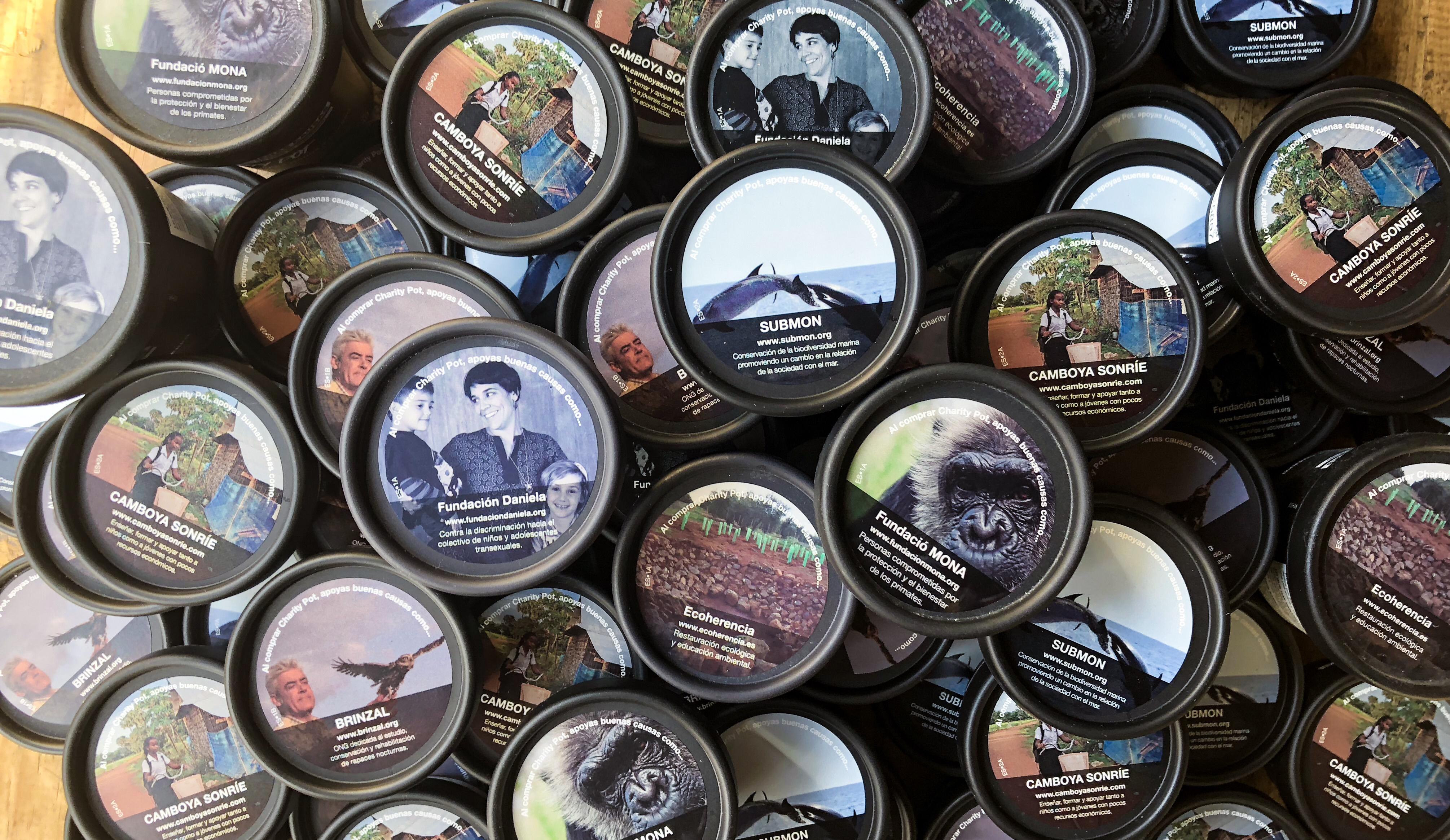 Charity Pot - Lush España