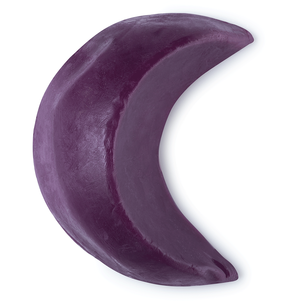 Night Bloom Ausverkauft Saisonales Lush sterreich