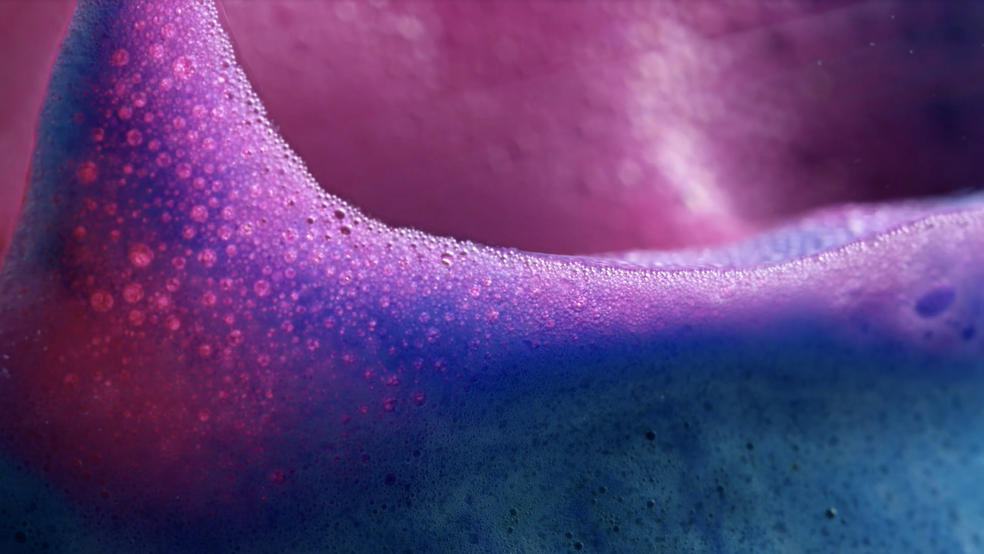 The Lush Ethical Charter - Lush Fresh Handmade Cosmetics UK