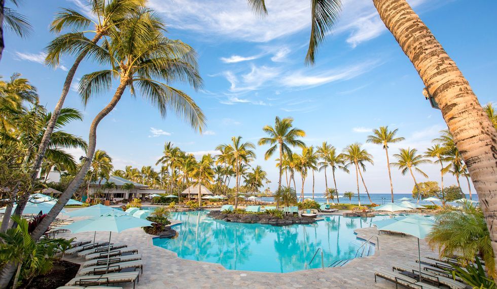 » Fairmont Orchid