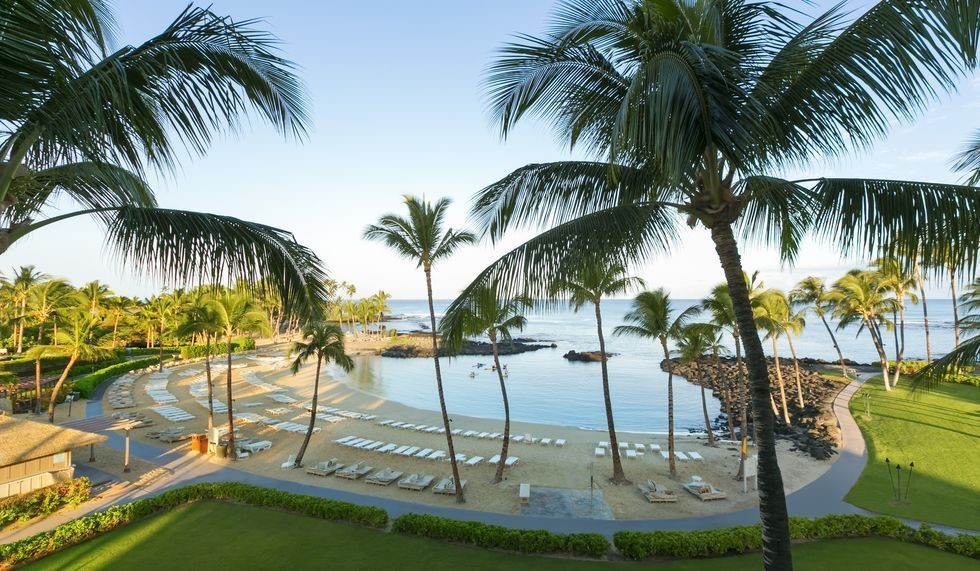 » Fairmont Orchid