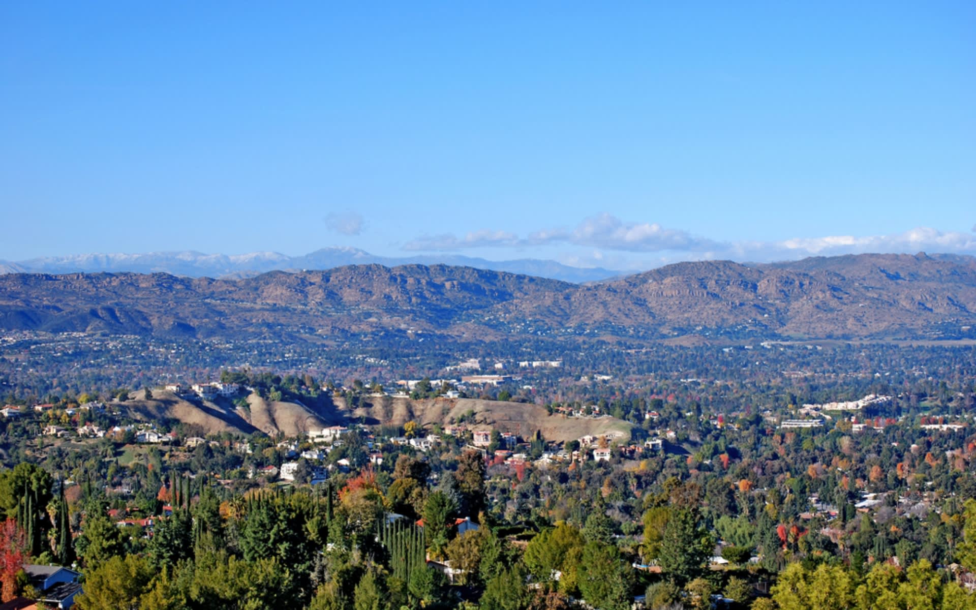 Redfin Encino