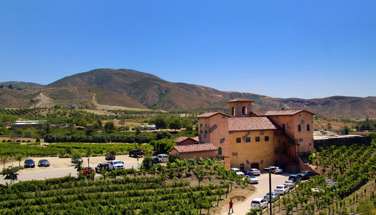 robert-renzoni-vineyard-winery