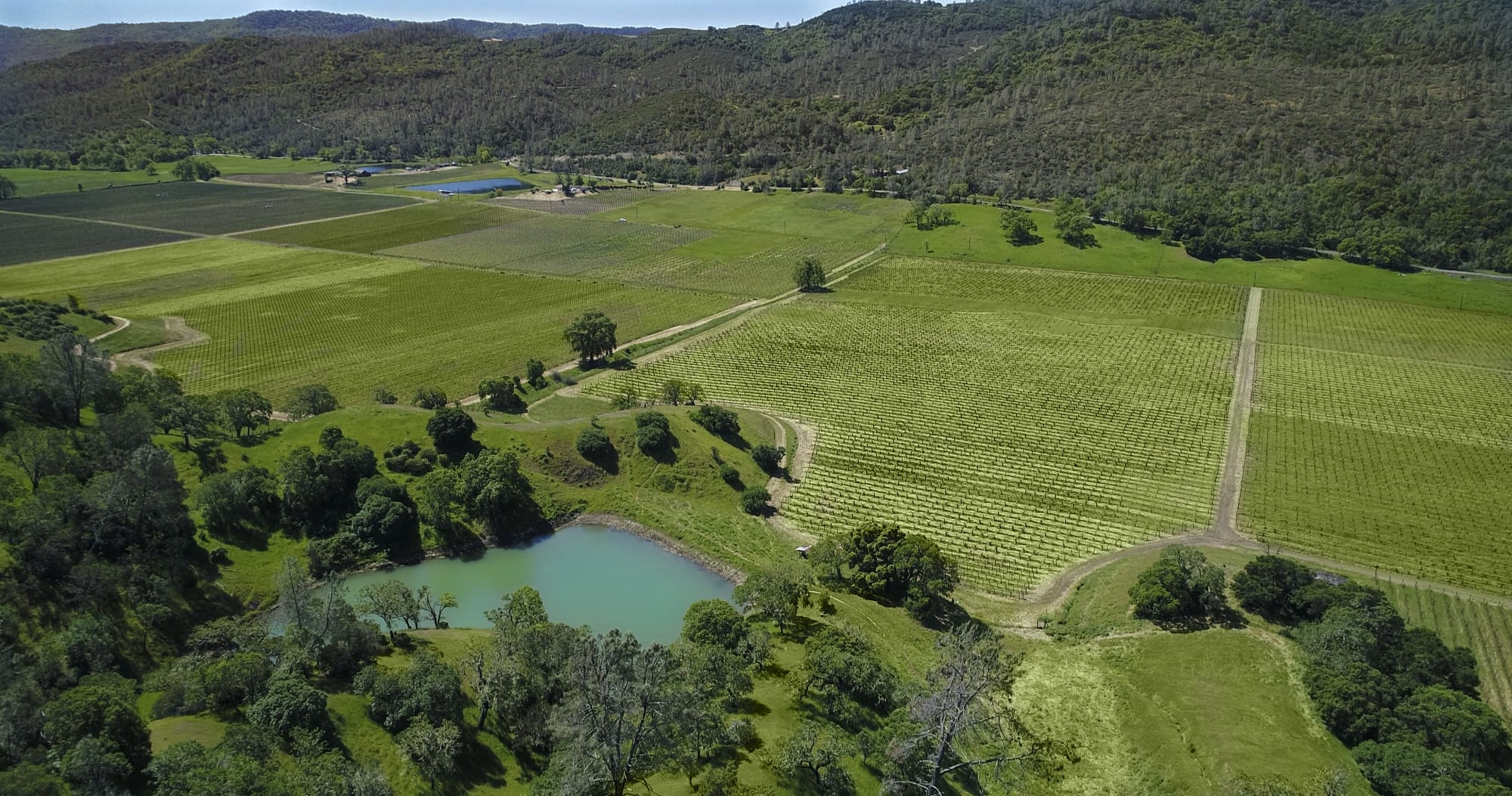 Luxury Homes for Sale in Napa California Sonoma County Real Estate