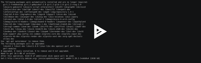 asciicast